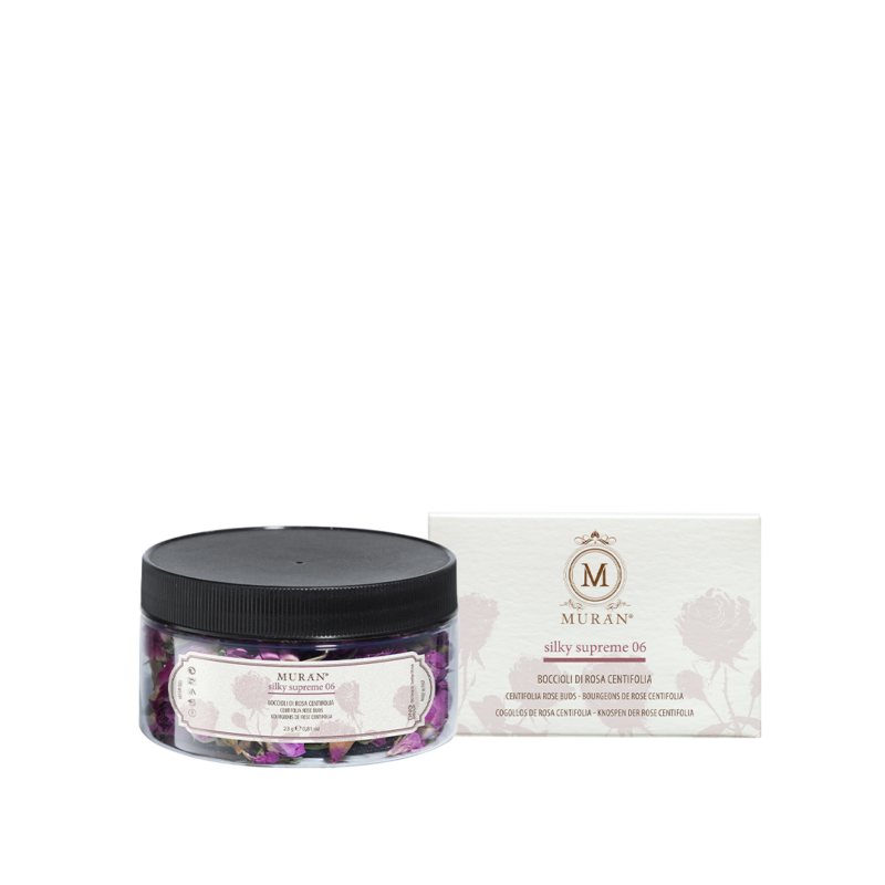 Silky Supreme 06 Бутони троянди центифолії